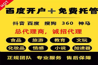 百度SEO推广技巧案例分析